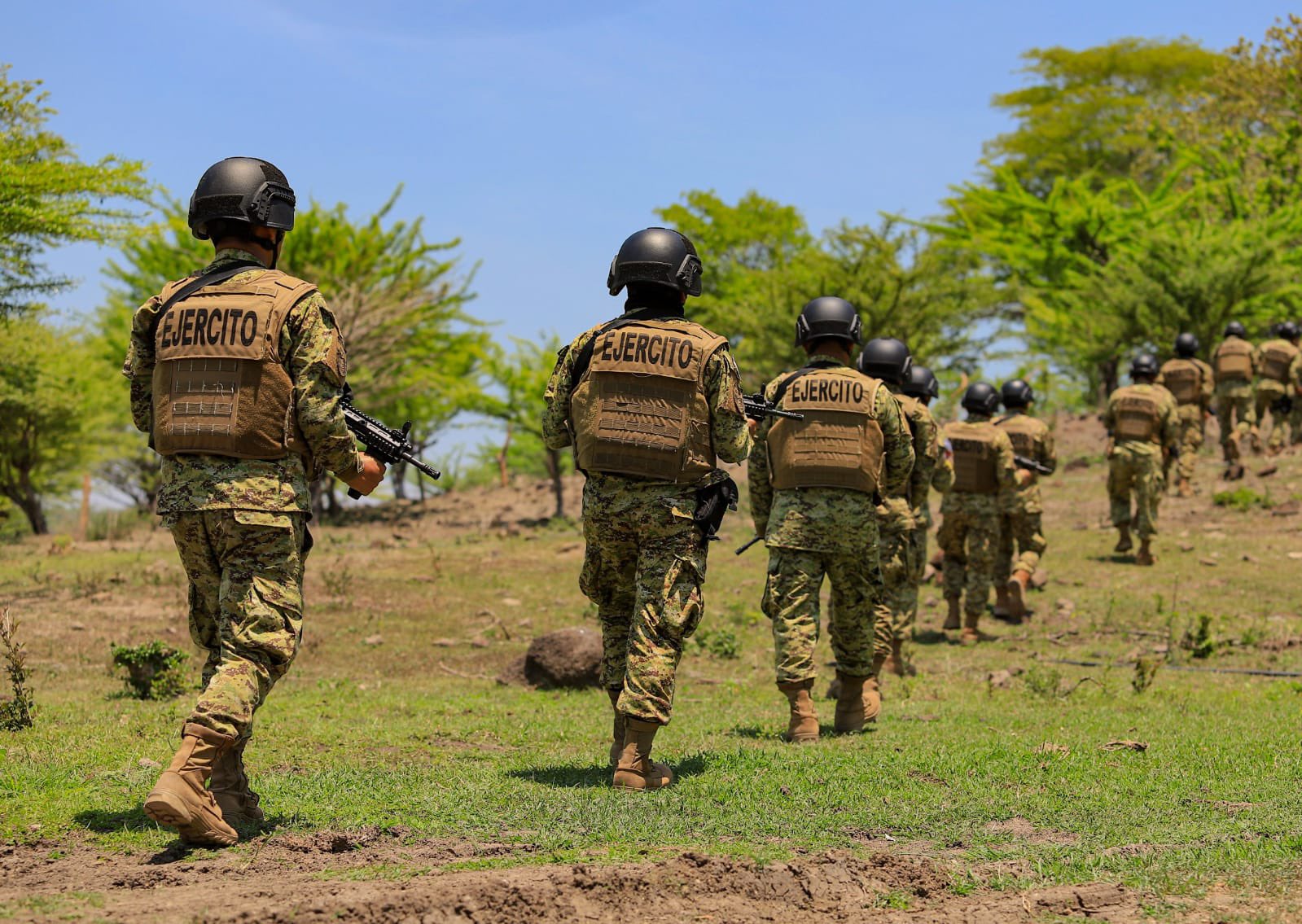 Aprueban reforma a la Ley de la Fuerza Armada para incluir la