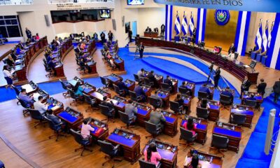 Aprobadas las disposiciones transitorias para la legalización de armas de fuego